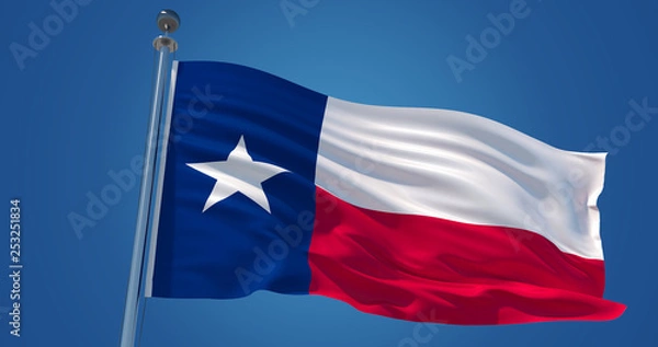 Obraz Texas flag in the wind, 3d illustration