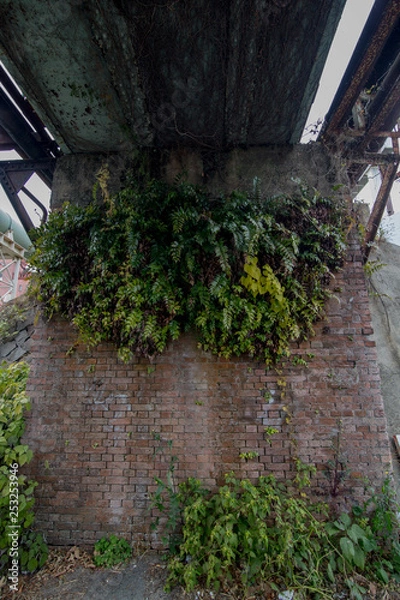 Fototapeta 陸橋下