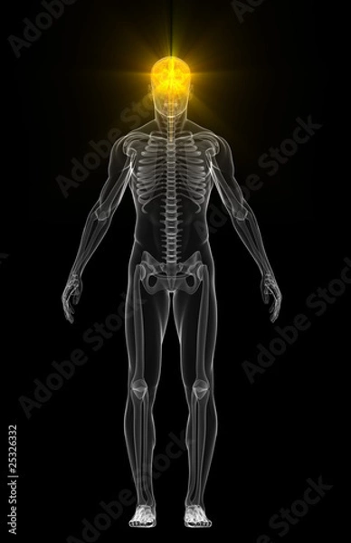 Fototapeta Human body with flashing neurons