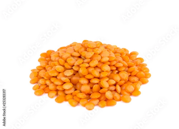 Obraz Lentil isolated on white background