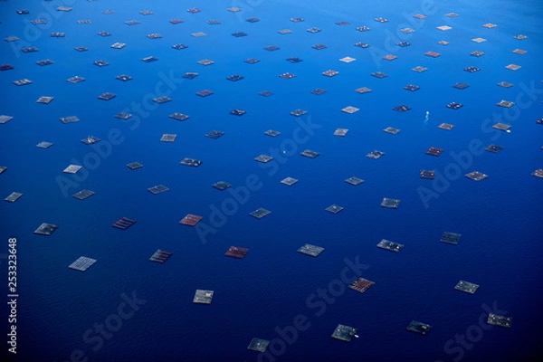 Fototapeta images of mussel rafts in galicia