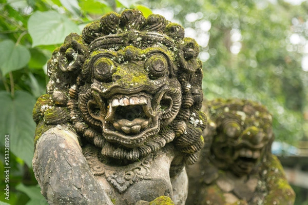 Fototapeta Portrait of balinese statue of barong god made of overgrow stone.