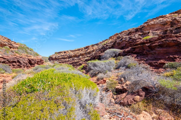 Fototapeta Vegetation in gorge at the Kalbarri National Park close to mushroom rock