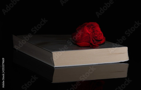 Obraz Book. Rose. Closed. Side. Light. Reflection. Black