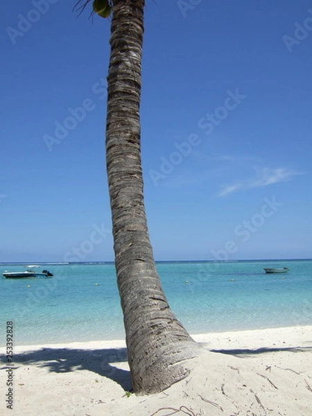 Obraz Palme am Strand