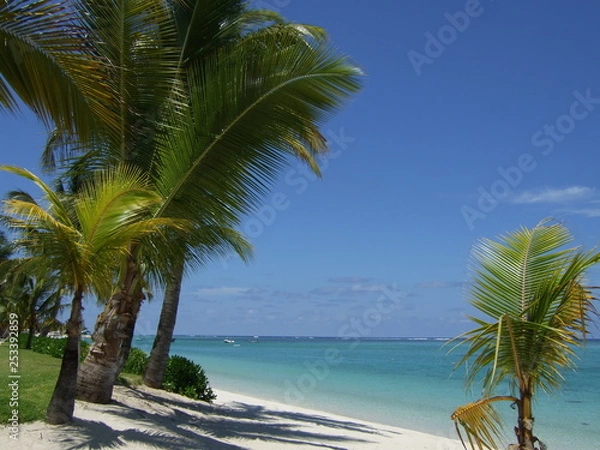 Obraz Tropischer Strand