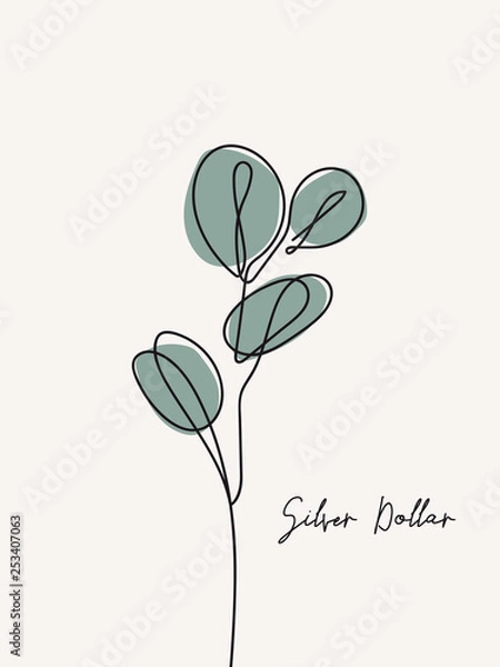 Fototapeta Eucalyptus silver dollar branch continuous line drawing. One line . Hand-drawn minimalist illustration, vector.