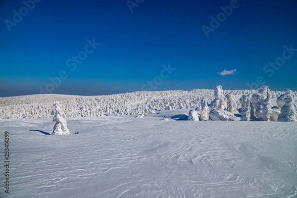 Fototapeta  Towada Hachimantai National Park Hachimantai　　 Frost-covered trees