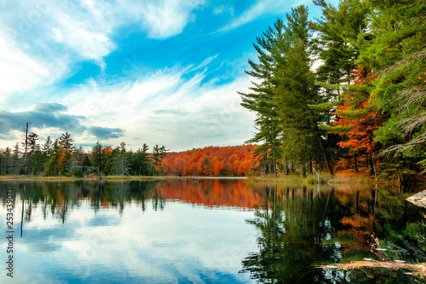 Obraz Gatineau Park forest in fall 