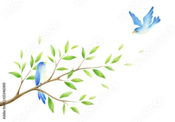 Obraz 木の枝と青い鳥