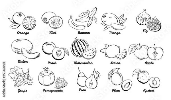 Fototapeta Fruits. Set of black and white icons. Vector illustration of Grape, Orange, Kiwi, Banana, Mango, Fig, Melon, Peach, Watermelon, Lemon, Apple, Pomegranate, Pear, Plum, Apricot.