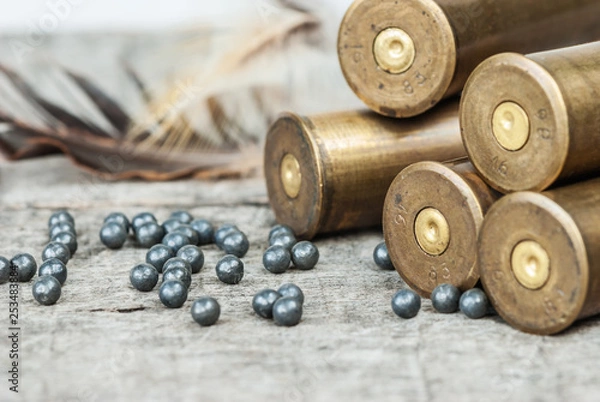 Obraz Hunting equipment on a wooden board