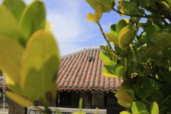 Obraz 赤瓦のシーサー