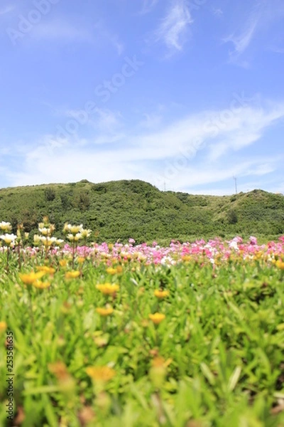 Obraz 渡名喜島の風景