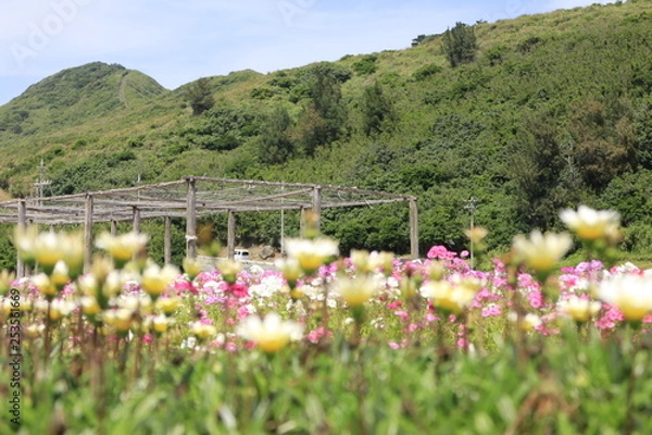 Obraz 渡名喜島の風景