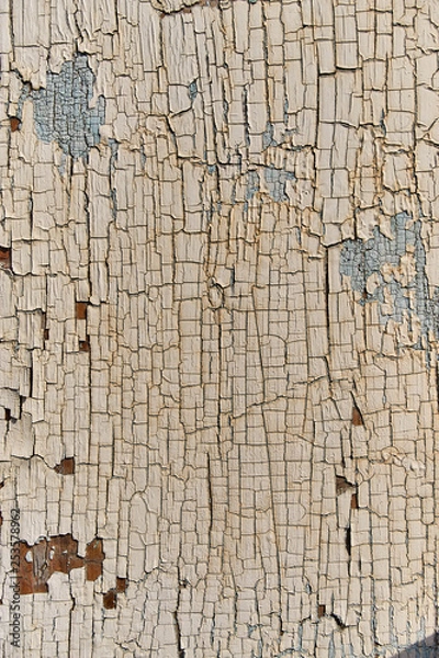 Obraz Different texture backgrounds for graphics