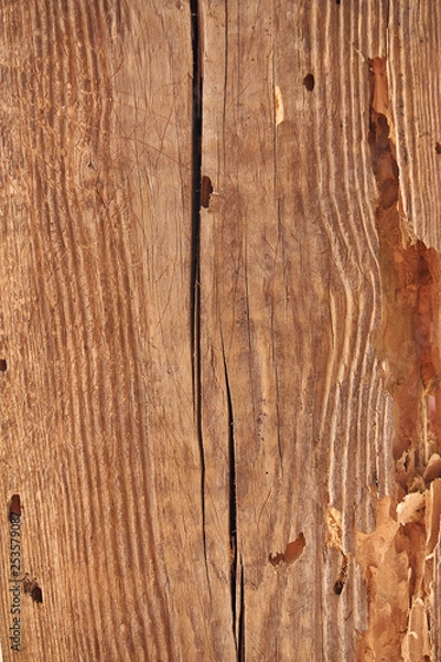 Obraz Different texture backgrounds for graphics