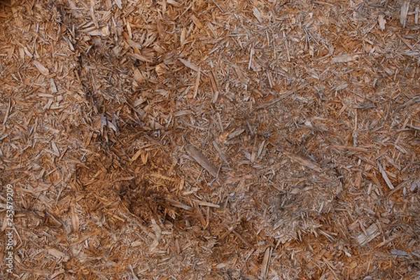 Obraz Different texture backgrounds for graphics