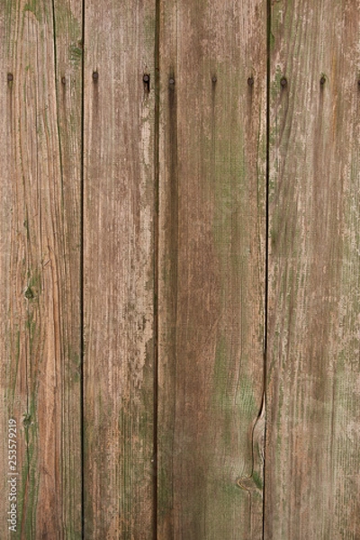 Obraz Different texture backgrounds for graphics