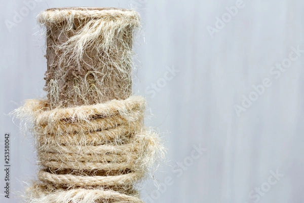 Obraz used cat scratching post with torn ropes, copy space