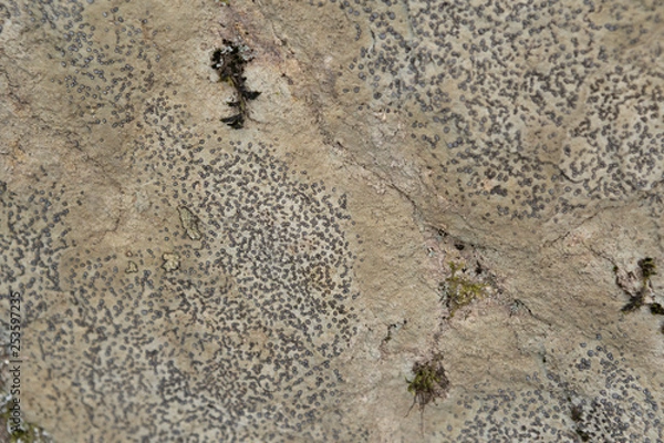 Obraz grey rock texture