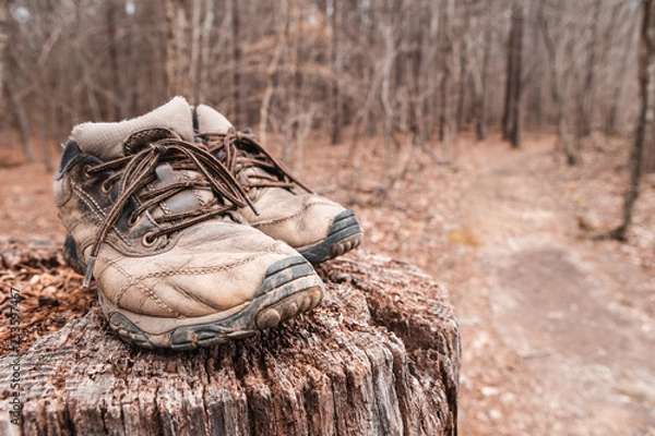 Obraz dirty hiking boots on tree stump beside trail