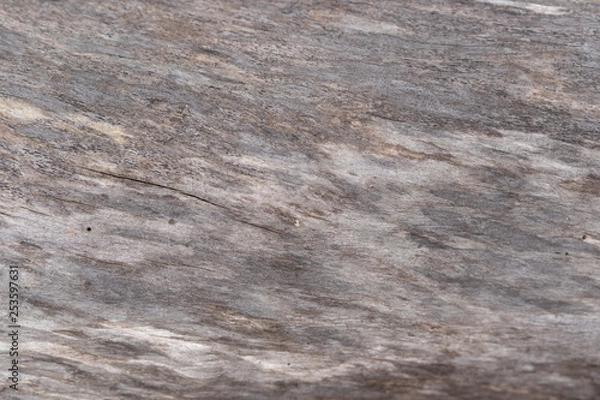 Obraz smooth grey wood texture