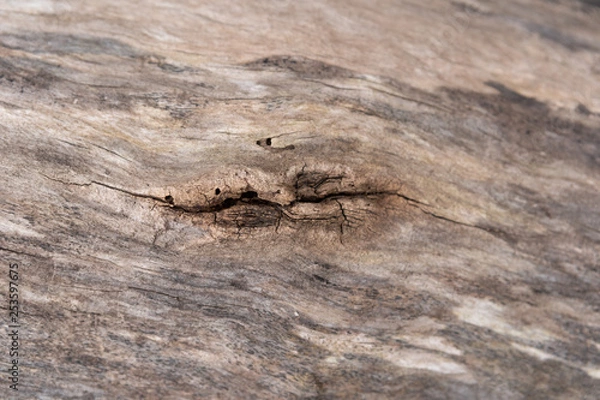 Obraz smooth brown wood with knot texture
