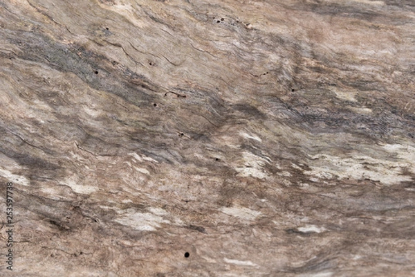 Fototapeta smooth brown wood texture