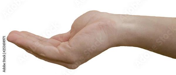 Obraz one hand palmful