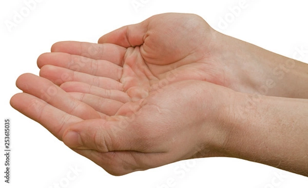 Obraz hands isolated on white background