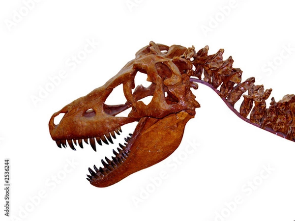 Obraz the dinosaur's head