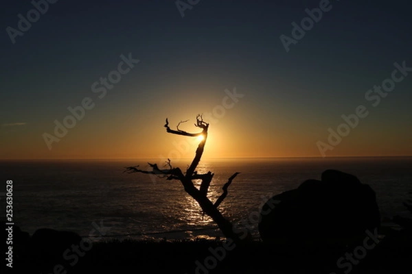 Obraz Pescadero Point