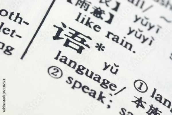 Fototapeta language written in chinese