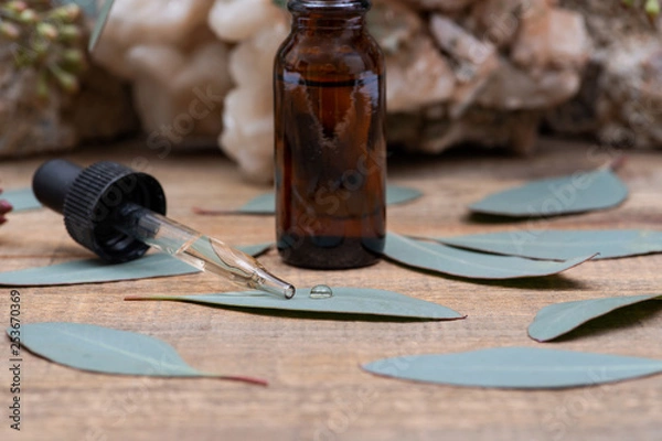 Fototapeta Eucalyptus Essential oil in Amber Round Glass Bottle with Glass Dropper and Fresh Eucalyptus leaves on wooden background. Phytotherapy.
