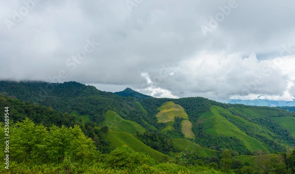 Fototapeta View of the mountain range and sea of mist in the morning