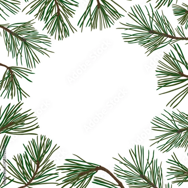 Fototapeta pine branches with green needles