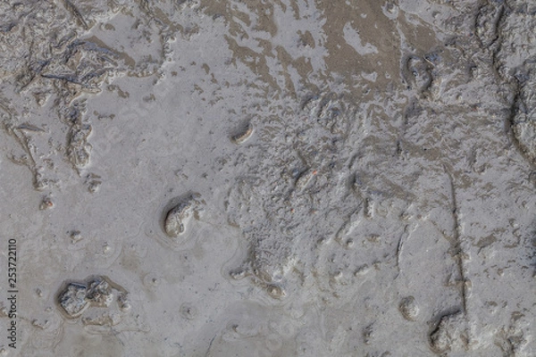 Fototapeta greasy wet mud background texture