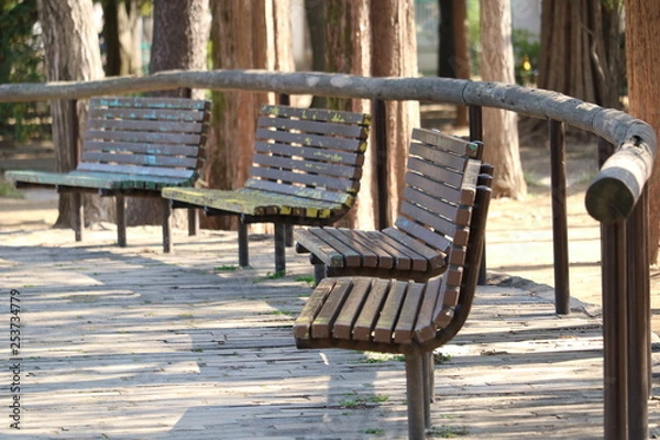 Fototapeta 冬の公園