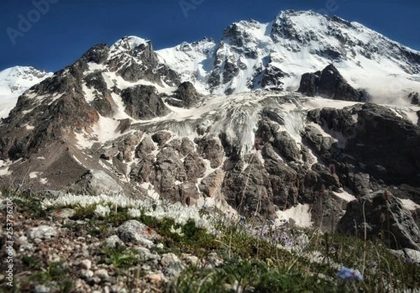 Obraz mountains in winter