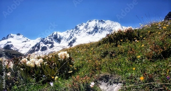 Fototapeta mountains and clouds