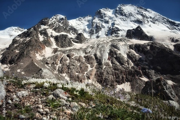Obraz mountains in the alps
