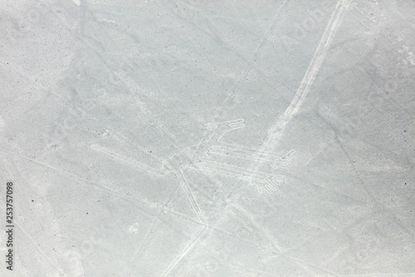 Obraz Nazca lines from the aircraft