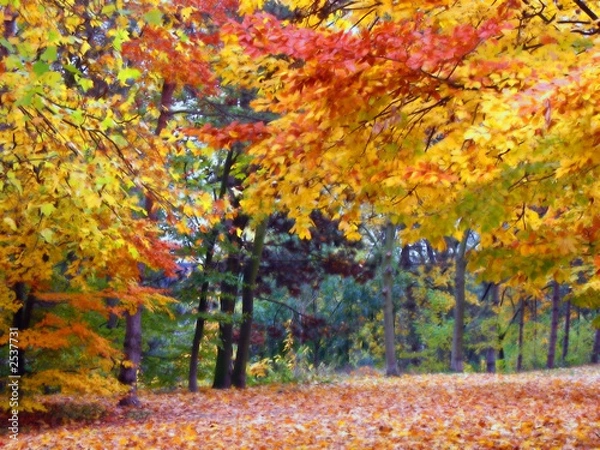 Obraz paysage d'automne