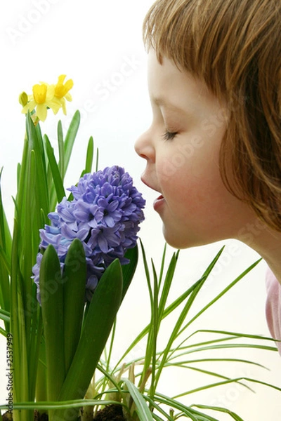 Obraz scent of spring