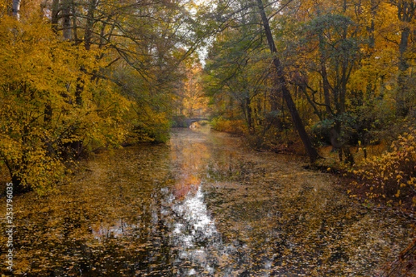 Obraz Tiergarten, Berlin