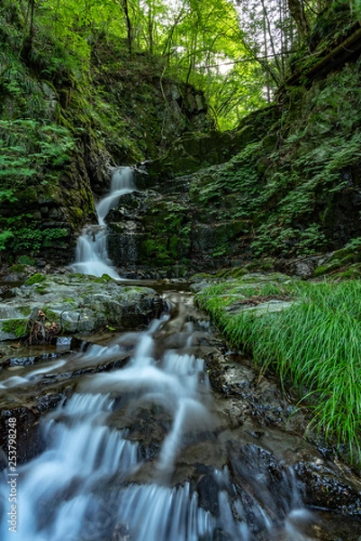 Fototapeta 檜原村　九頭龍の滝