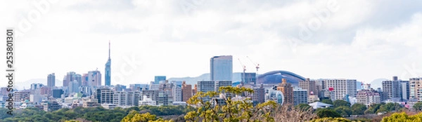 Fototapeta 福岡都市景観