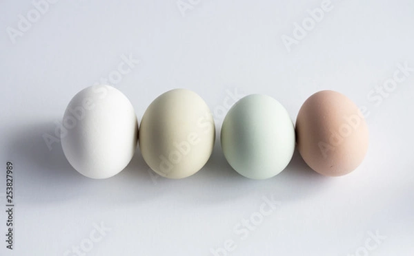 Fototapeta eggs