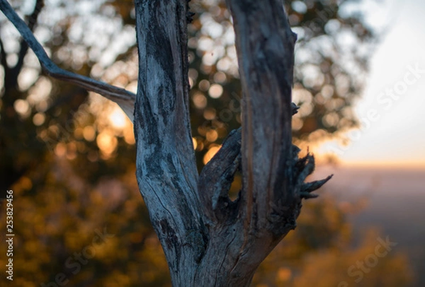 Fototapeta Sunset in Germany
